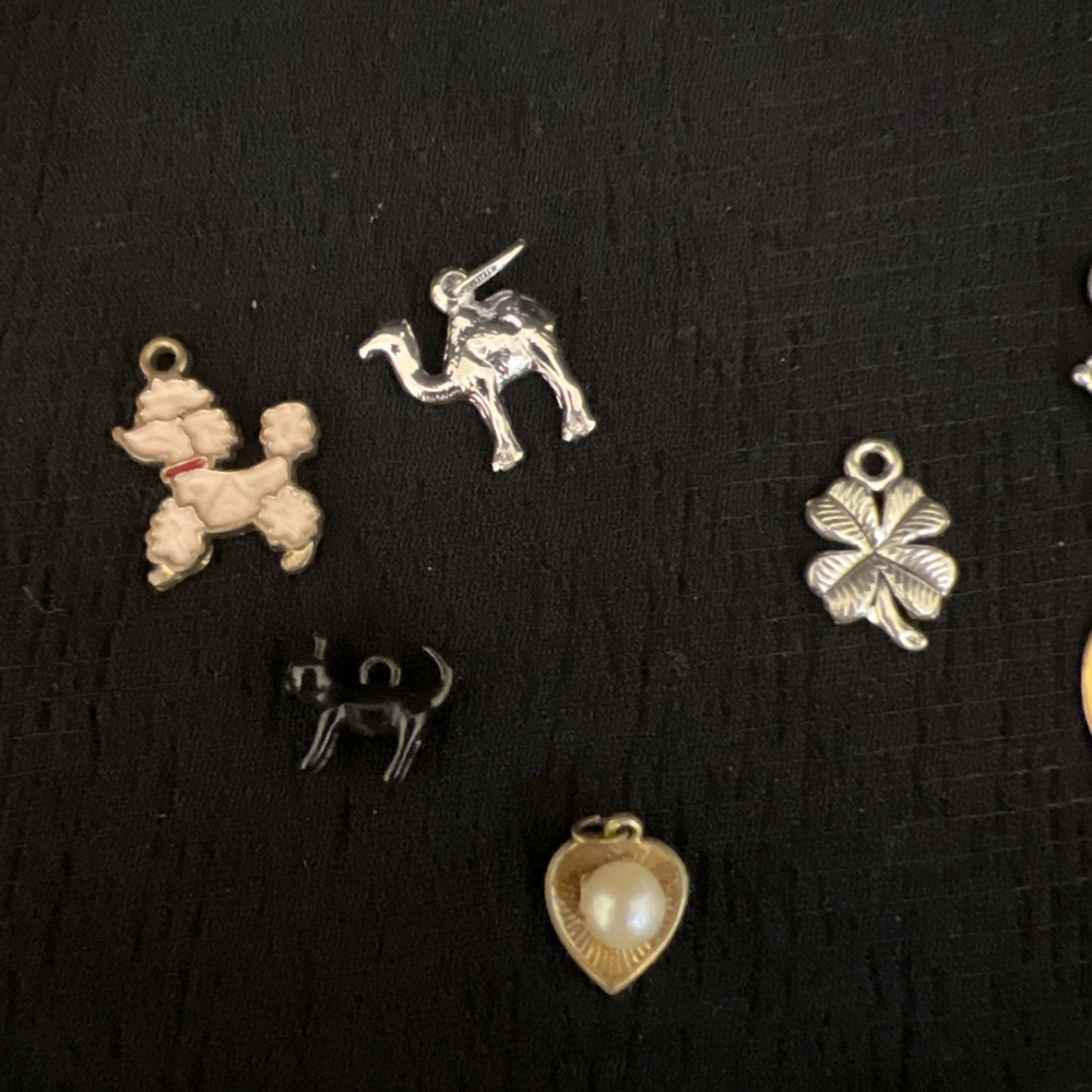 Mixed Charm Lot Jewelry Animals Beach Tropical Paris Fairy Cruise Ship Craft Lot - Picture 6 of 16